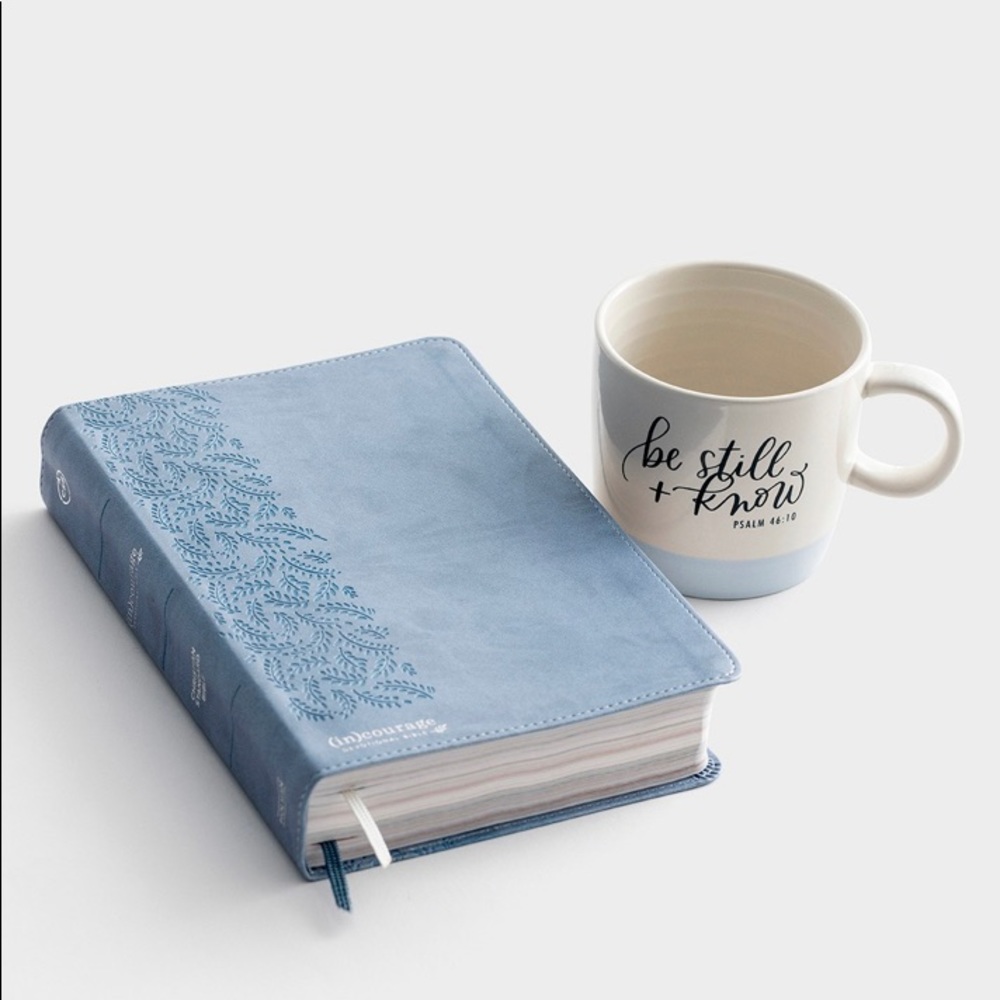 (In) Courage Devotional Bible